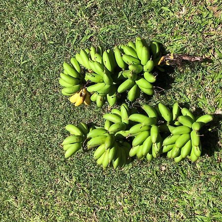 فيلا Ti Citron بيتي-بور المظهر الخارجي الصورة